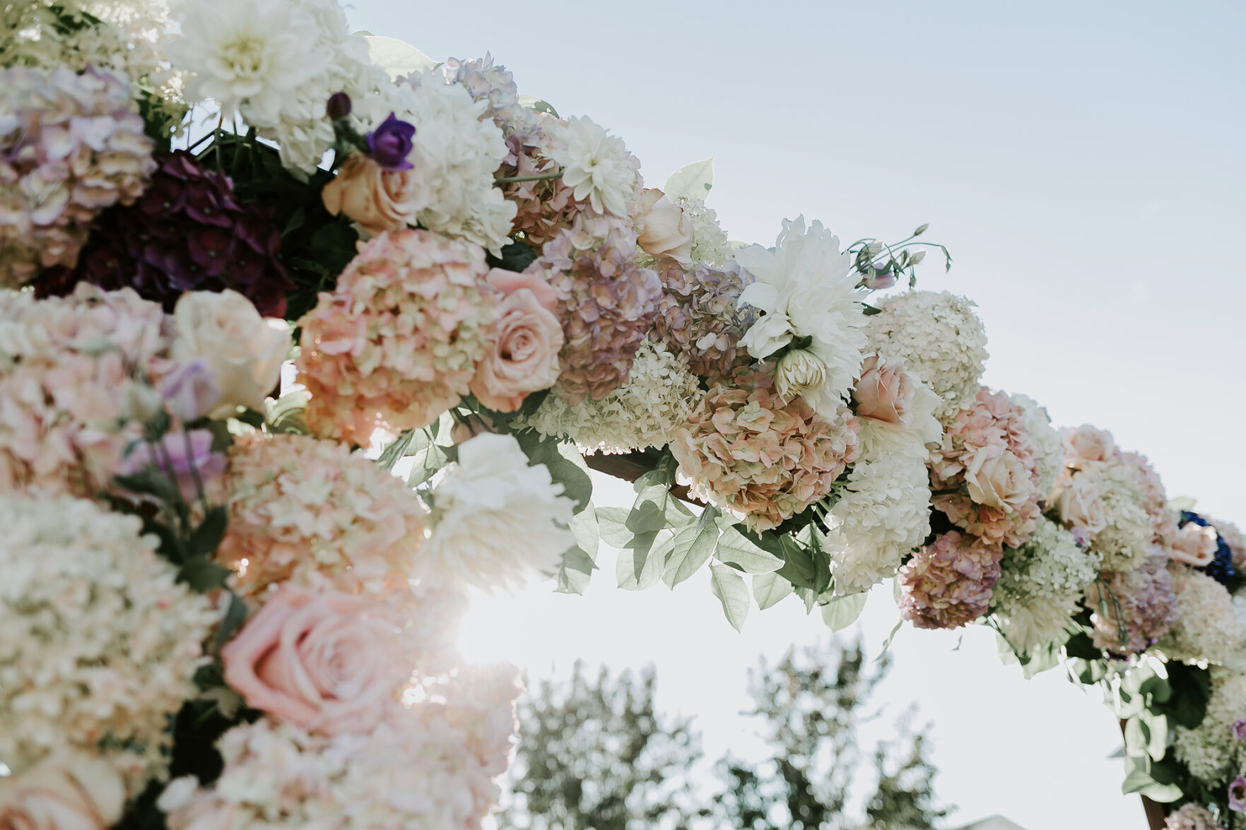 Ruth-Anthony-arbor.jpg